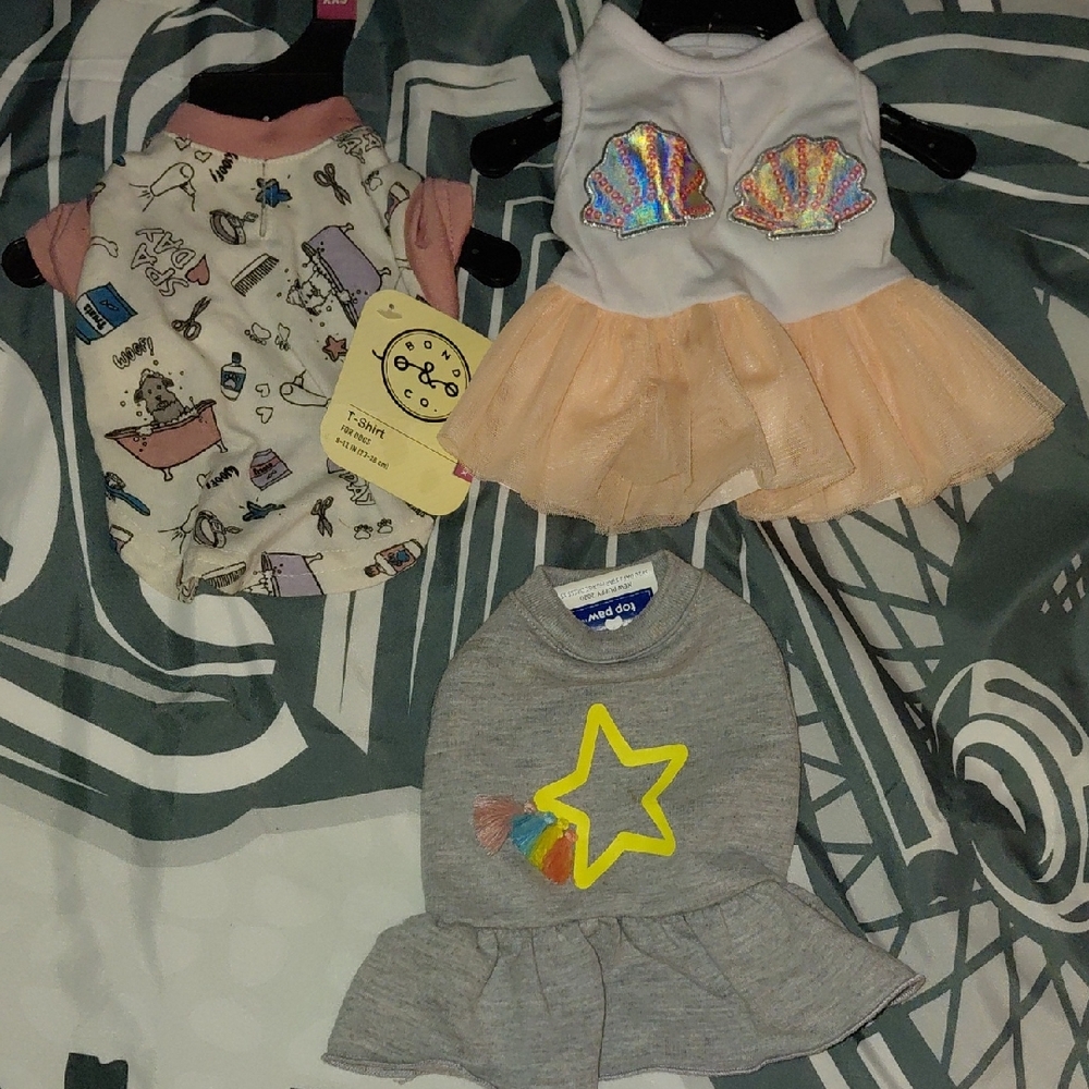 Cute Pet Outfits with Fun Designs